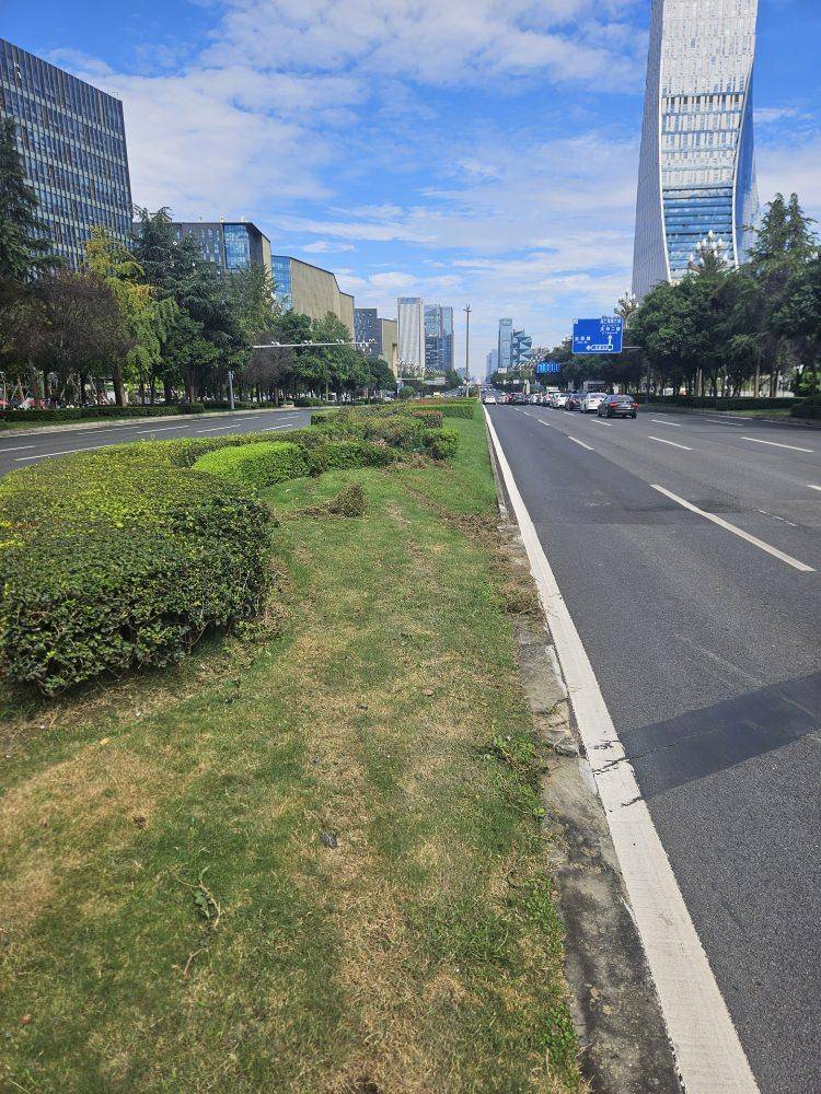 成都发生一起严重交通事故<strong></p>
<p>方正科技股票</strong>，上游新闻实地探访：燃烧留下的印记仍在