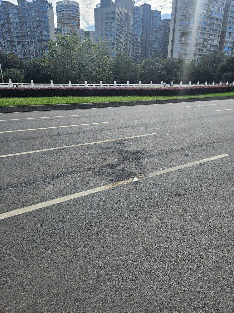 成都发生一起严重交通事故<strong></p>
<p>方正科技股票</strong>，上游新闻实地探访：燃烧留下的印记仍在