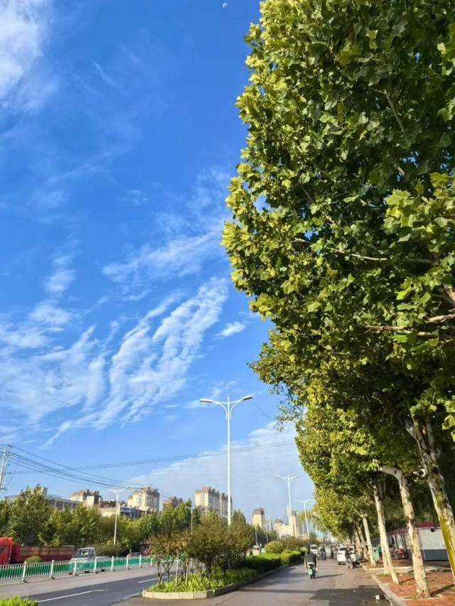 济南<strong></p>
<p>方正科技股票</strong>,转晴!山东,转晴!好久不见的太阳,来了!