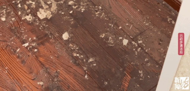 上海一业主推开家门瞬间懵了<strong></p>
<p>方正科技股票</strong>!精装房竟成“化粪池”……