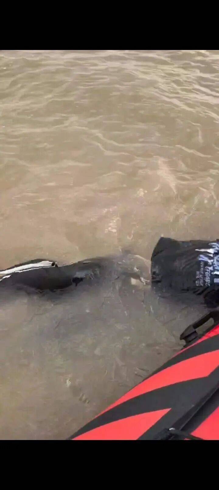 230斤重小伙酒后落水<strong></p>
<p>方正科技股票</strong>，漂浮7小时终获救……