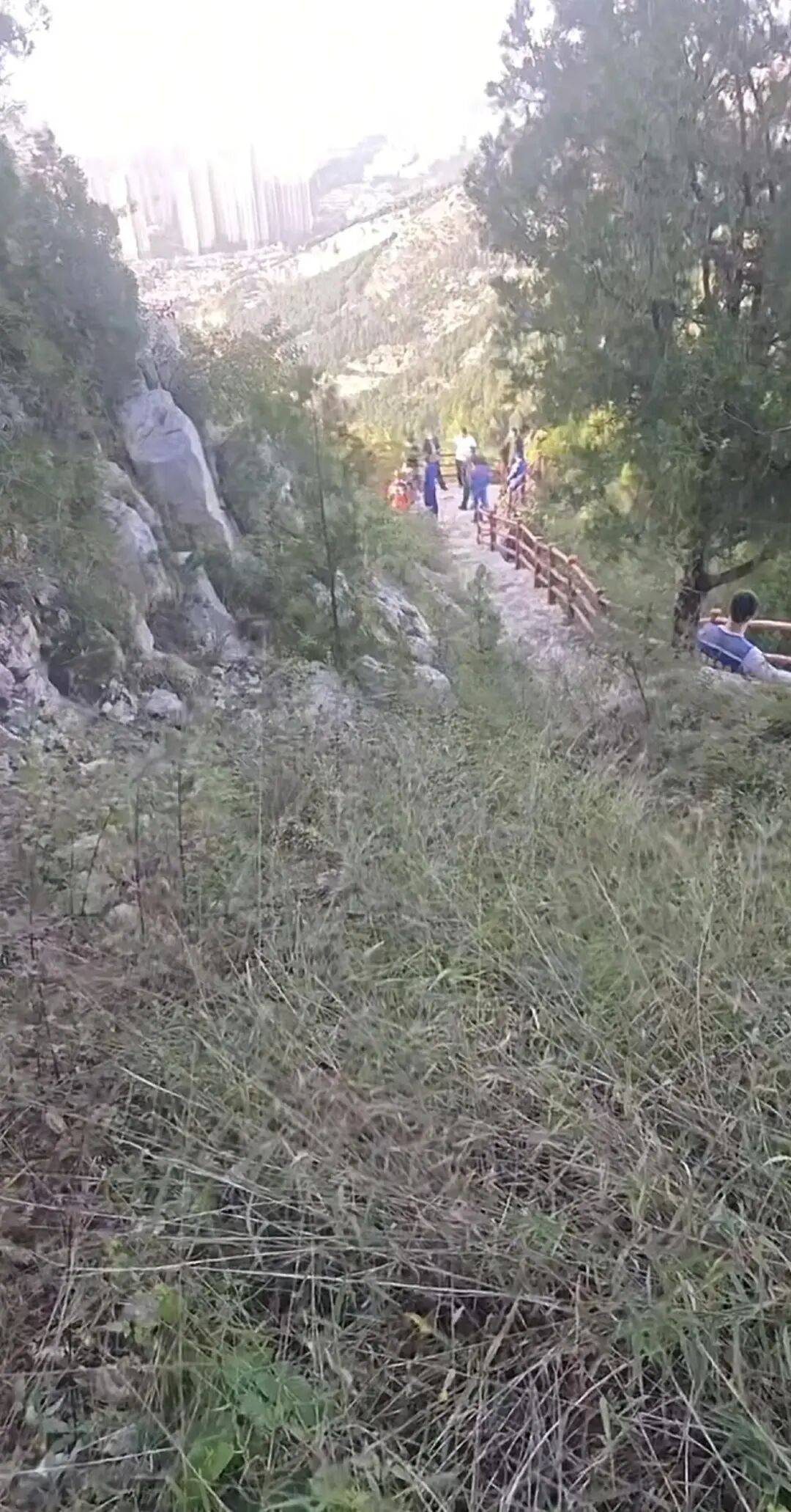 刚刚证实:苏某某已身亡<strong></p>
<p>机器人股票</strong>,年仅29岁!遗体在离家2公里处……