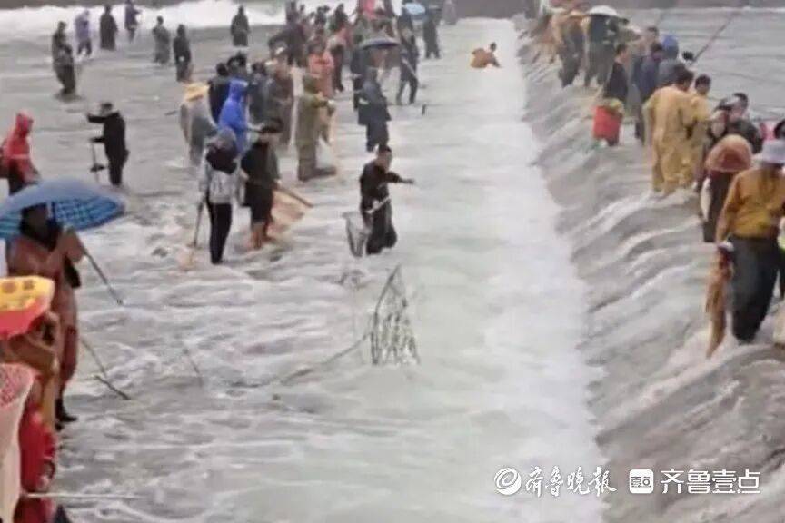 “鱼多得数不过来<strong></p>
<p>机器人股票</strong>，一网子下去能捞好几条”济南锦绣川水库开闸放水，大量鲢鱼被冲出，工作人员：禁止捕捞！