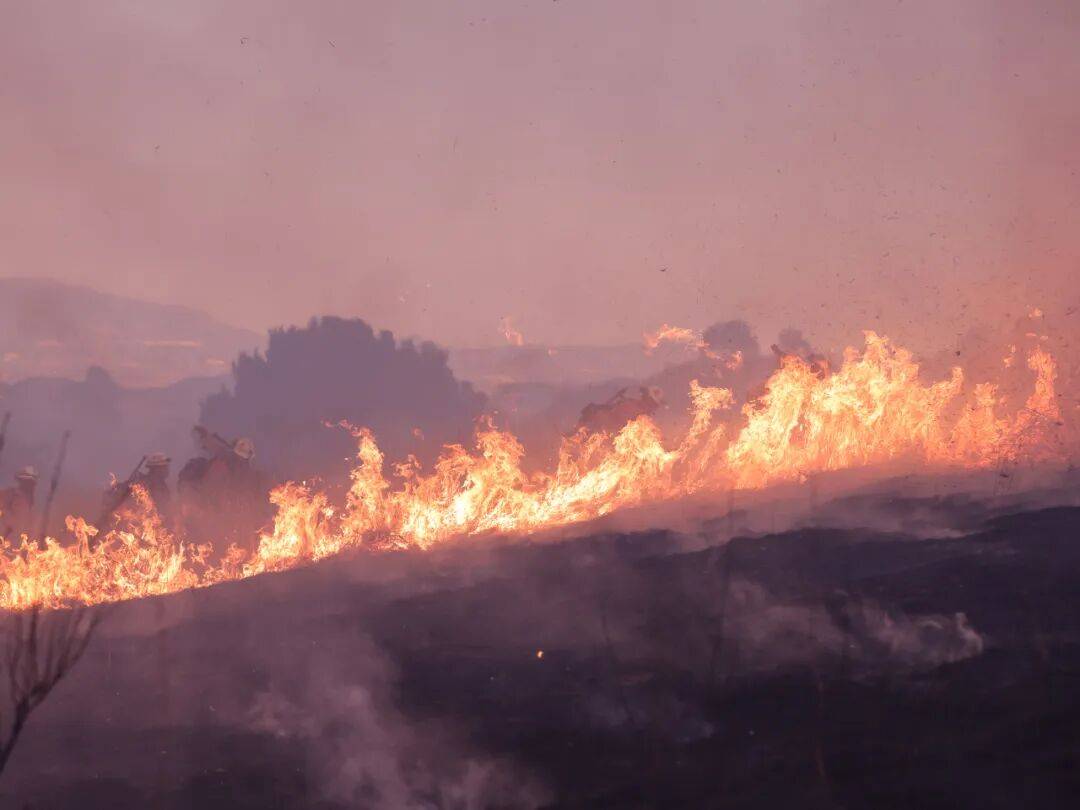 上一次出现现在的状况<strong></p>
<p>京东股票</strong>，地球上尚无人类……