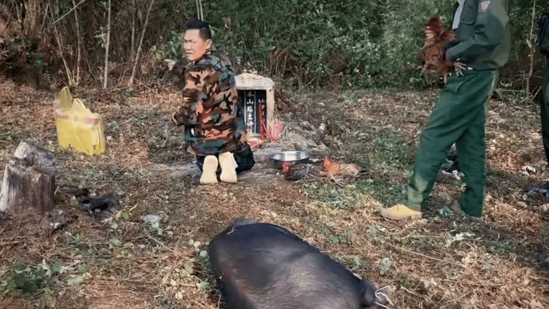 公安机关侦破缅北果敢徐老发犯罪集团专案<strong></p>
<p>谷歌股票</strong>，详情披露！