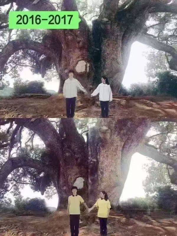 岳阳情侣连续9年在家乡千年古樟树下合影<strong></p>
<p>谷歌股票</strong>,今年国庆终修正果:希望爱情像古树一样长久
