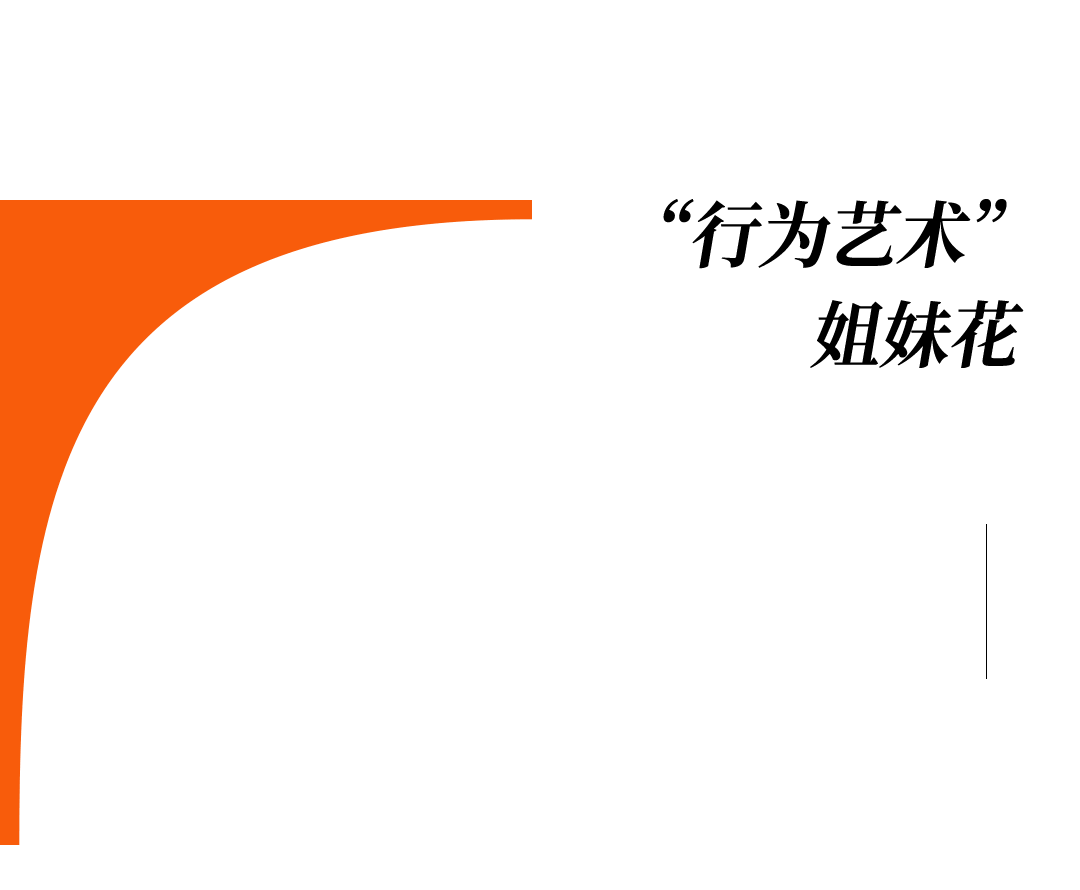 爱马仕当“头饰”<strong></p>
<p>谷歌股票</strong>,香奈儿挂满身,这对“神秘姐妹”是谁?