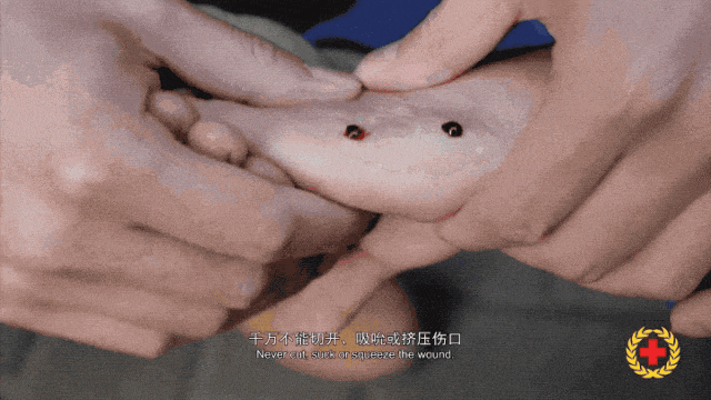 女子半夜上厕所<strong></p>
<p>鲁抗医药股票</strong>,马桶里突然窜出一条蛇!