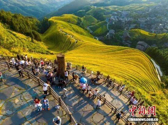 金秋<strong></p>
<p>上海贝岭股票</strong>，广西的梯田一点不输！