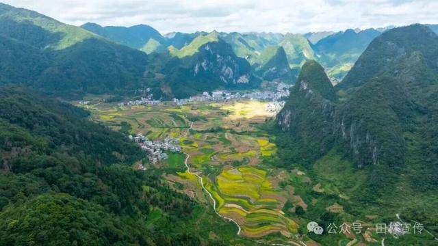 金秋<strong></p>
<p>上海贝岭股票</strong>，广西的梯田一点不输！