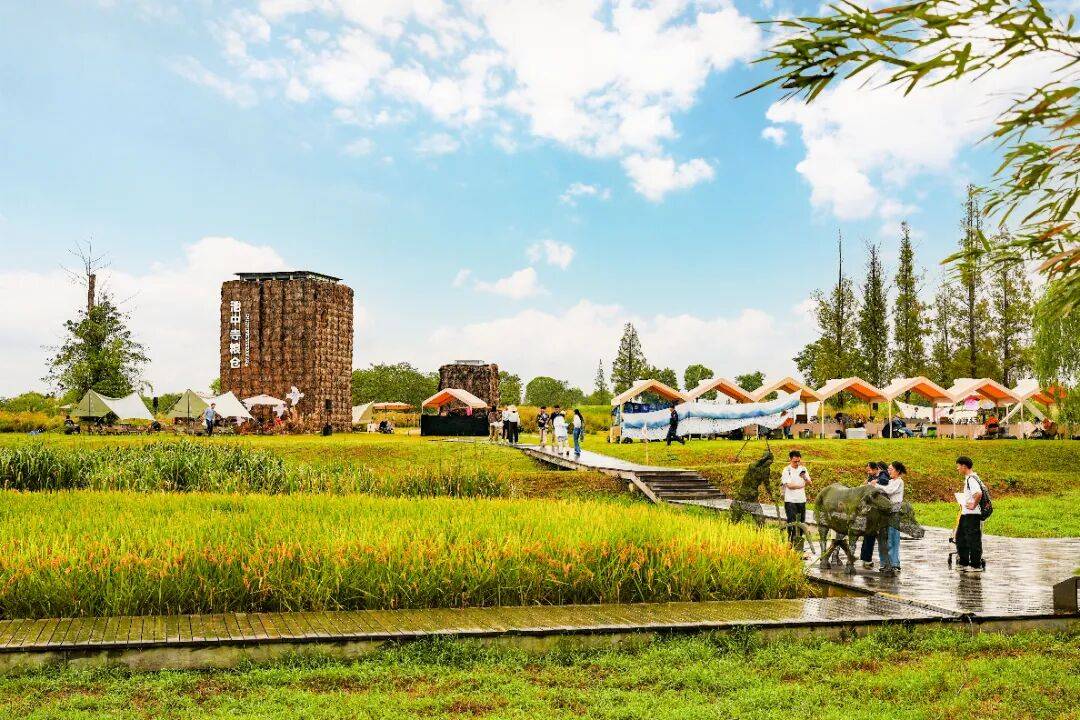 良渚遇“稻”<strong></p>
<p>上海贝岭股票</strong>你 | 秋季活动正当时