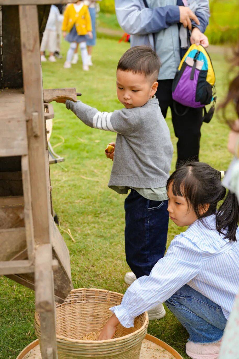 良渚遇“稻”<strong></p>
<p>上海贝岭股票</strong>你 | 秋季活动正当时