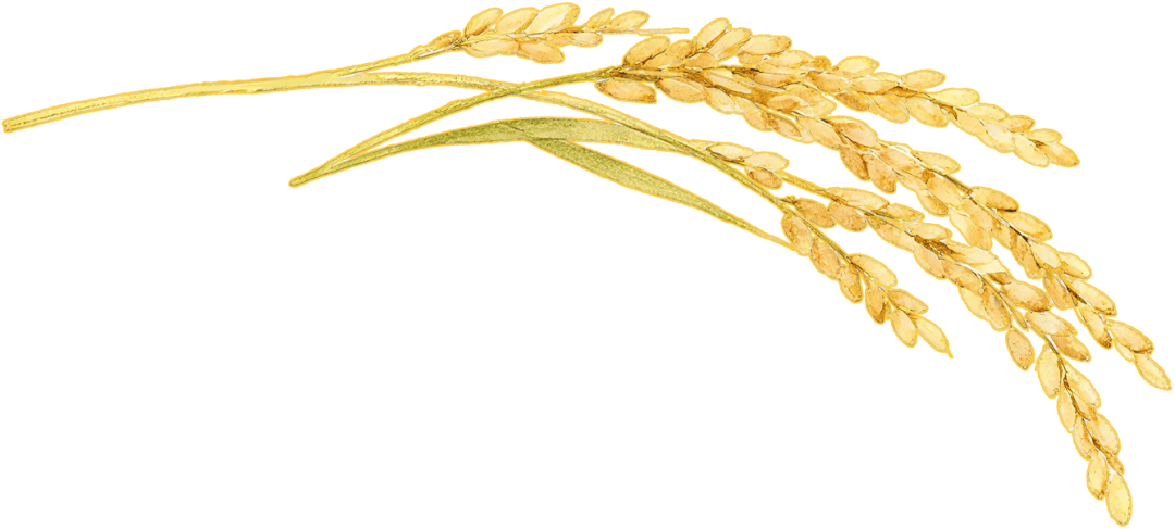 第三届环渤海检验医学学术会议暨大连市医师协会检验医师分会2025年度会议成功举行