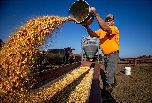 又输给了李成钢<strong></p>
<p>爱尔眼科股票</strong>，贝森特承诺：美方不再考虑对华加征100%关税