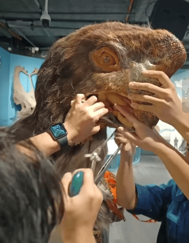 被卡住了<strong></p>
<p>爱尔眼科股票</strong>！广州一游客把手伸进恐龙模型嘴中