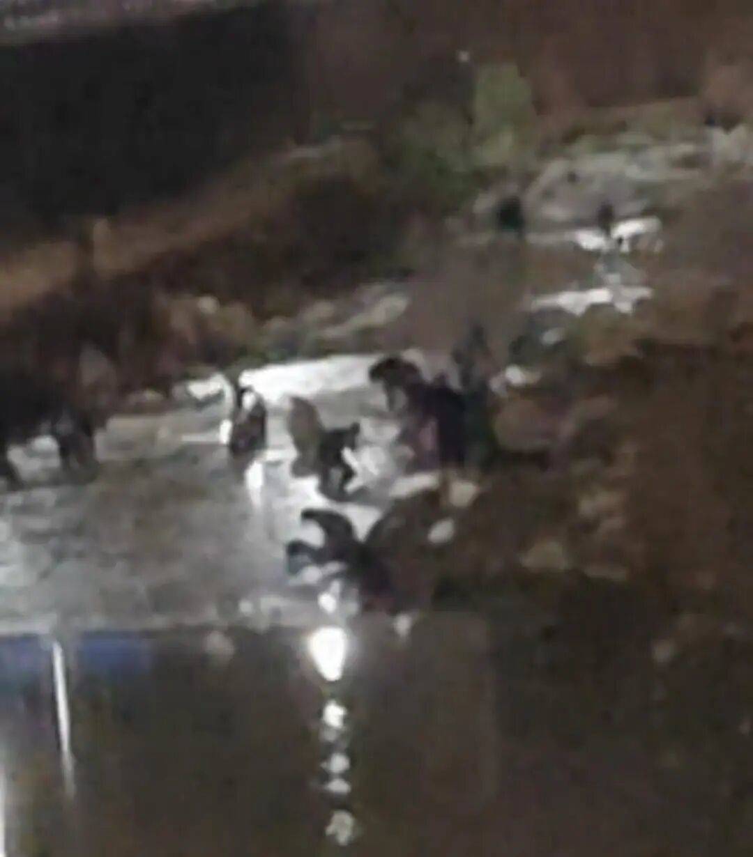 “一盆出5克多”<strong></p>
<p>三一重工股票</strong>，多人凌晨下河淘金！当地警方回应