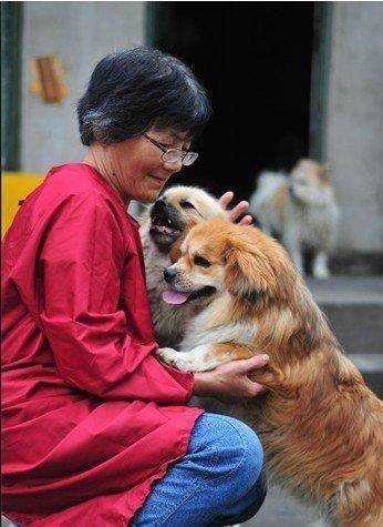 合肥卖房救助流浪狗的魏阿姨离世<strong></p>
<p>阿里巴巴股票</strong>，病中仍然惦记着基地的600只流浪狗，工人：不敢相信世上还有这样执着的人