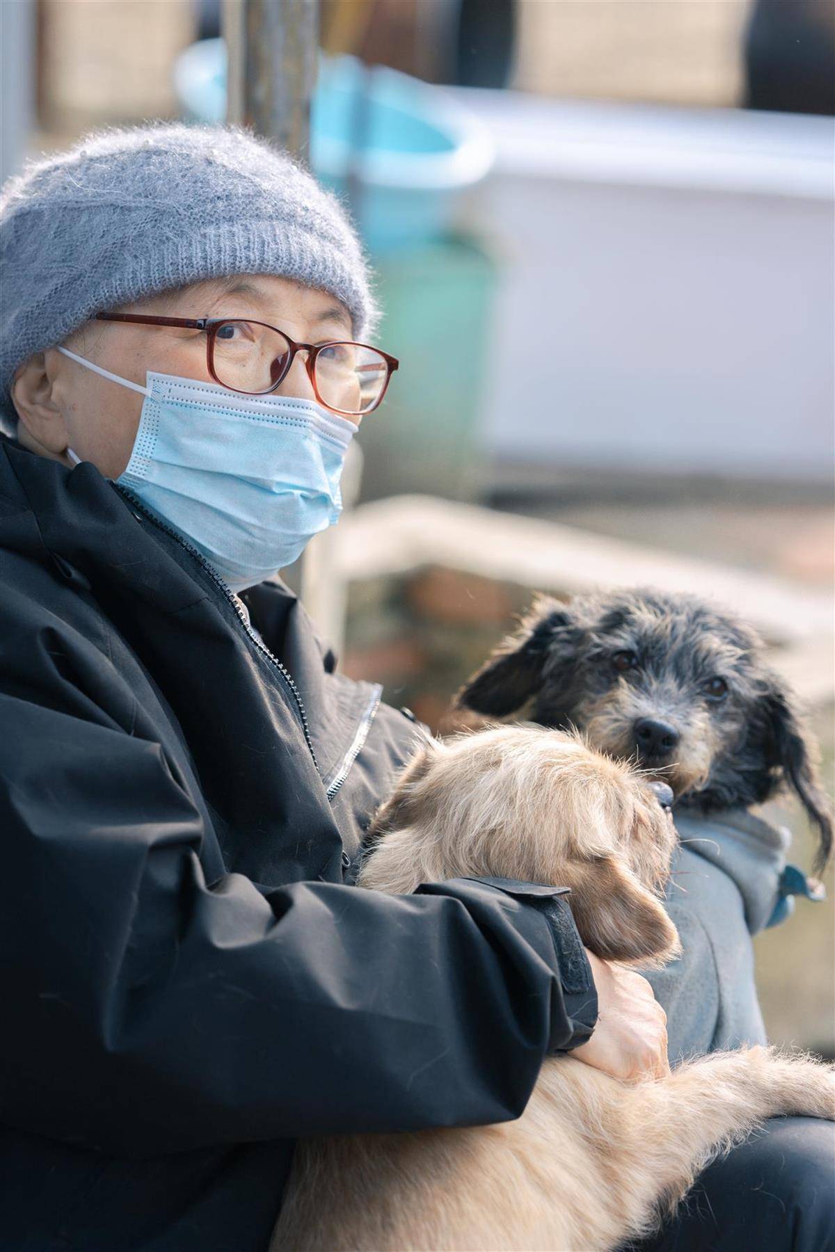 合肥卖房救助流浪狗的魏阿姨离世<strong></p>
<p>阿里巴巴股票</strong>，病中仍然惦记着基地的600只流浪狗，工人：不敢相信世上还有这样执着的人