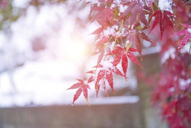 百年难遇“早立冬”来了<strong></p>
<p>通富微电股票</strong>!有啥讲究?早看早准备!